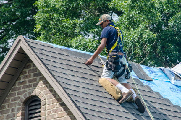 Best Roof Gutter Cleaning  in Leechburg, PA